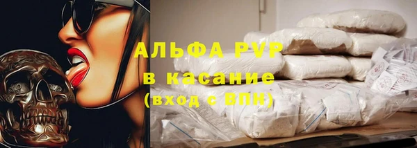 ECSTASY Богородск