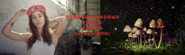 ECSTASY Богородск
