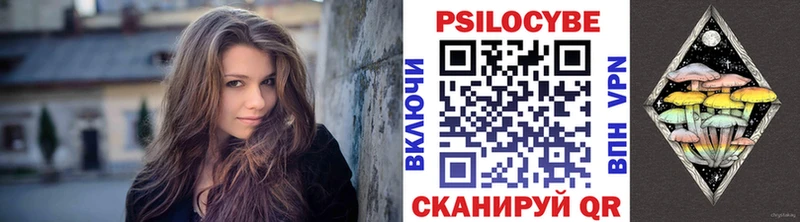 закладка  Конаково  blacksprut зеркало  Псилоцибиновые грибы Psilocybine cubensis 
