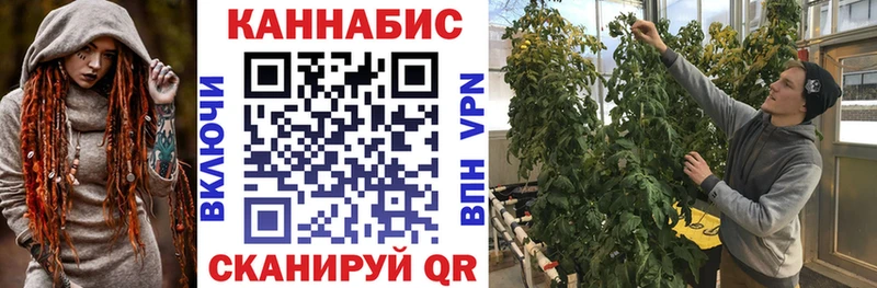 купить наркоту  Конаково  Каннабис план 